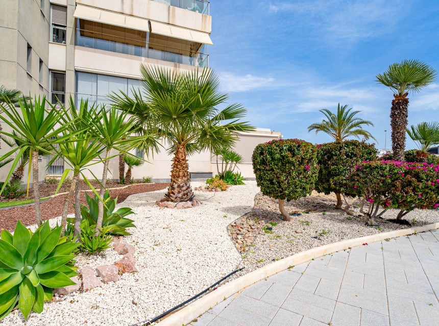 Brukt - Leilighet - Orihuela Costa - Los Dolses