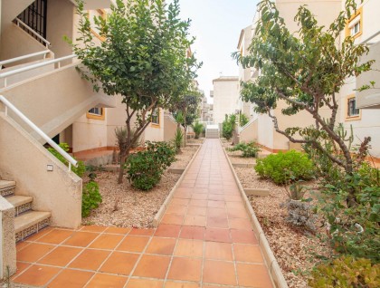 Brukt - Leilighet - Torrevieja - Torreblanca