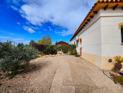 Brukt - Rekkehus - Orihuela Costa - La Florida