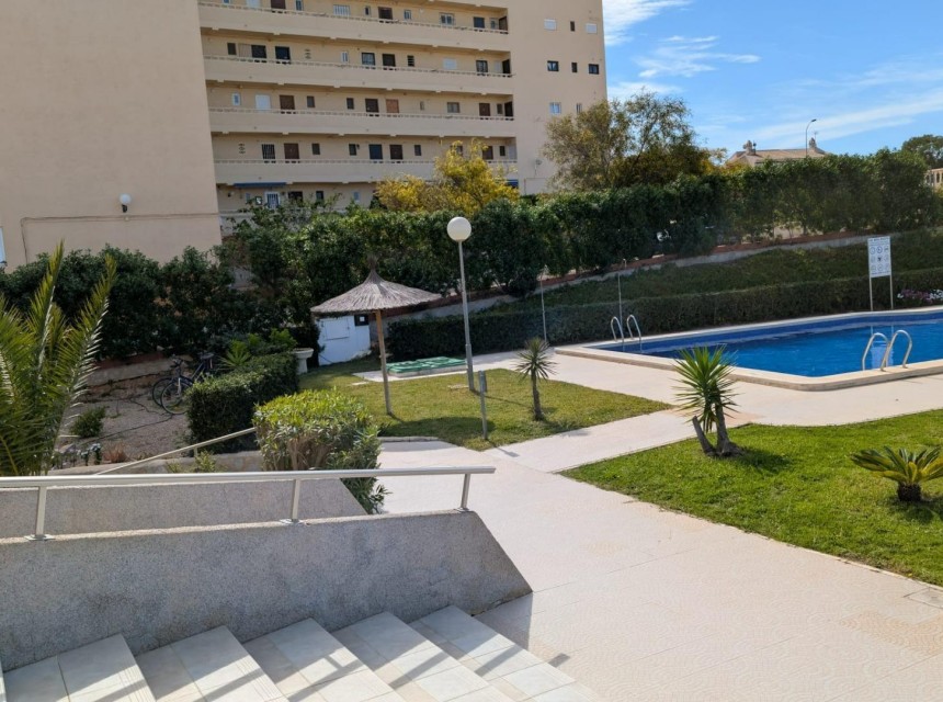 Brukt - Studio - Torrevieja - Torreblanca