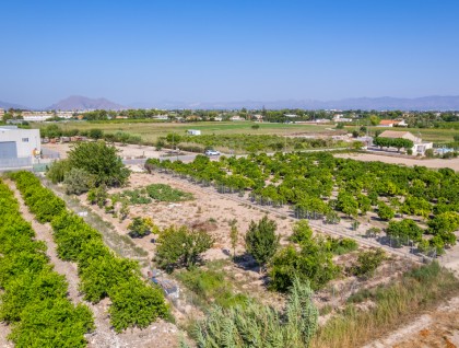 Brukt - Tomt - Formentera del Segura - Formentera de Segura