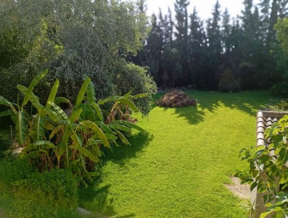 Brukt - Villa - Daya Nueva