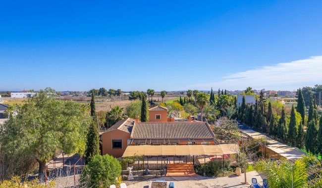 Finca - Begagnad - Catral - Catral