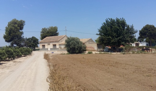 Finca - Begagnad - Daya Nueva - Daya Nueva