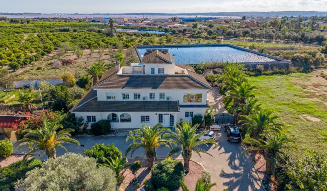 Finca - Begagnad - Los Montesinos - Los Montesinos