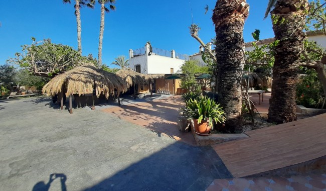 Finca - Begagnad - Orihuela - TP-4326