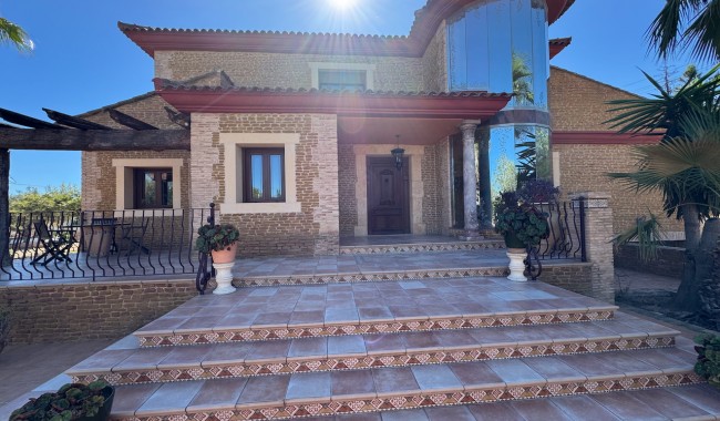 Finca - Brukt - Los Montesinos - Los Montesinos