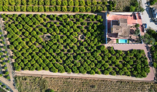 Finca - Brukt - Orihuela - Orihuela*