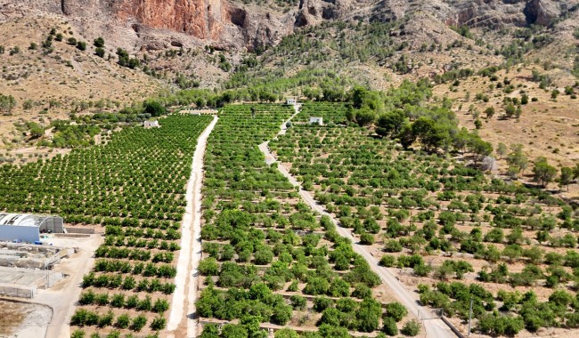 Finca - Brukt - Orihuela - Orihuela