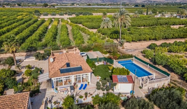 Finca - Resale - Albatera - Albatera