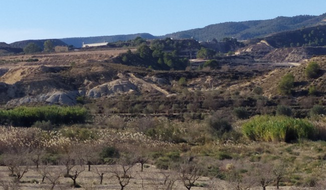 Finca - Resale - Orihuela - Orihuela Centro