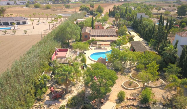 Finca - Segunda mano - Catral - Catral - Country