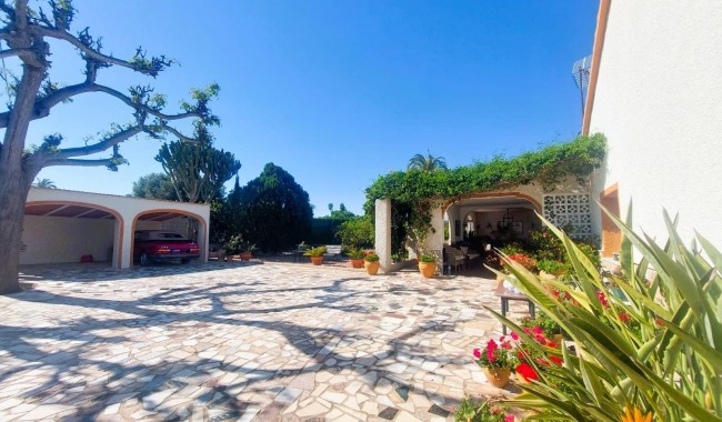 Finca - Segunda mano - La Marina - La Marina