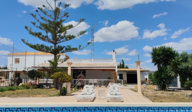Finca - Segunda mano - Los Montesinos - Los Montesinos