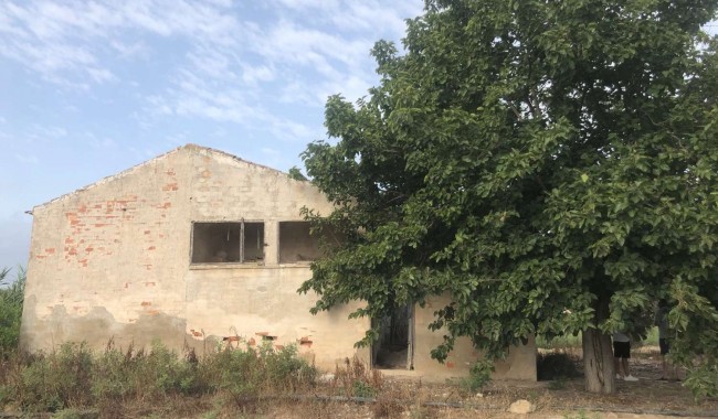 Finca - Segunda mano - Orihuela - Callosa De Segura