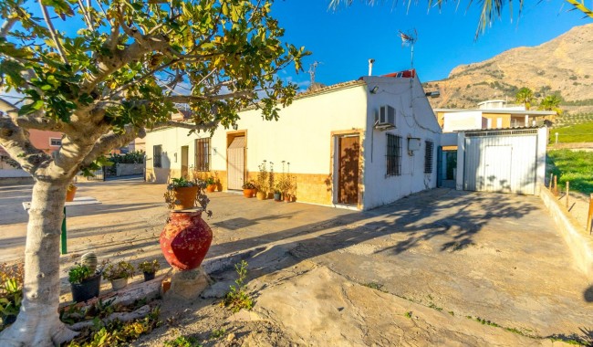 Finca - Segunda mano - Orihuela - JP-7819