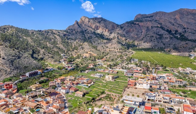 Finca - Segunda mano - Orihuela - LE-7301