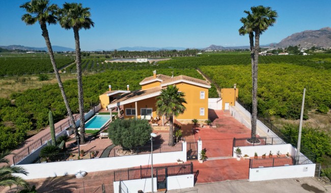 Finca - Segunda mano - Orihuela - Orihuela Costa