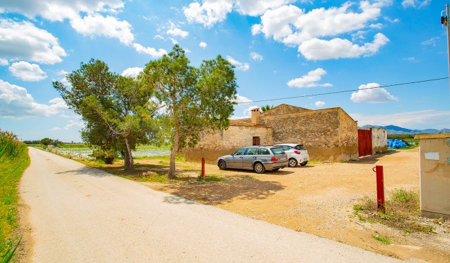 Finca - Segunda mano - San Isidro - San Isidro Centro