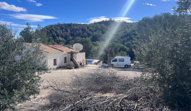 Finca - Segunda mano - Torremendo - CW-5658