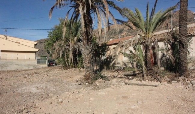 Finka - Sprzedaż - Orihuela - La Aparecida