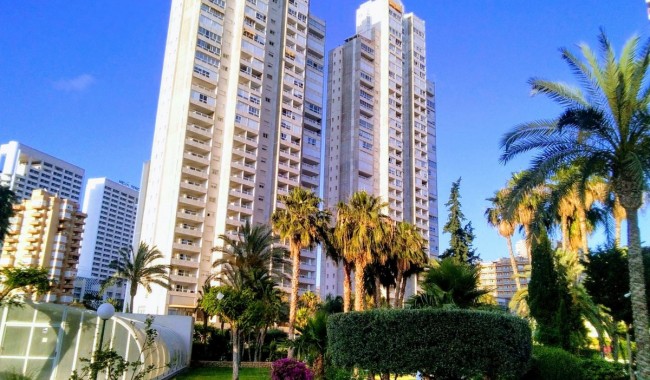 Lägenhet - Begagnad - Benidorm - Benidorm Centro