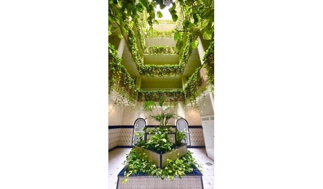 Lägenhet - Begagnad - Torrevieja - Centro