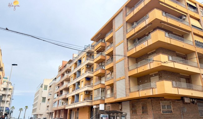 Lägenhet - Begagnad - Torrevieja - Centro
