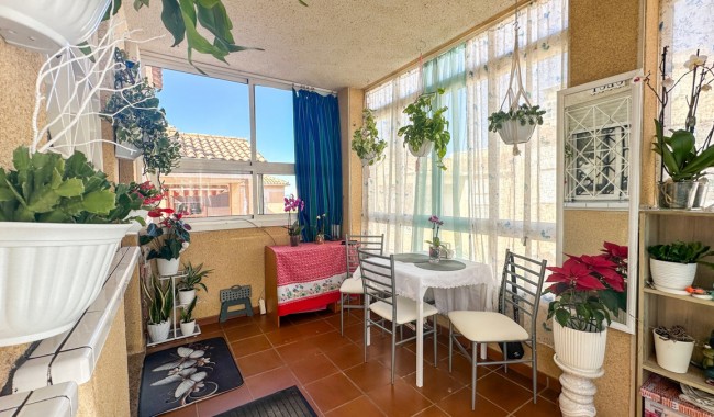 Lägenhet - Begagnad - Torrevieja - Centro