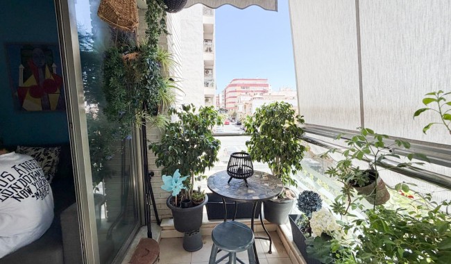 Lägenhet - Begagnad - Torrevieja - Centro