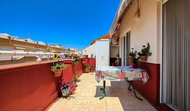 Lägenhet - Begagnad - Torrevieja - HS-6222