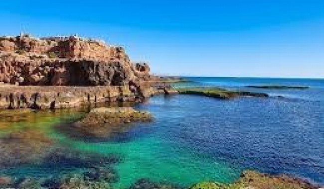 Lägenhet - Begagnad - Torrevieja - Los Frutales