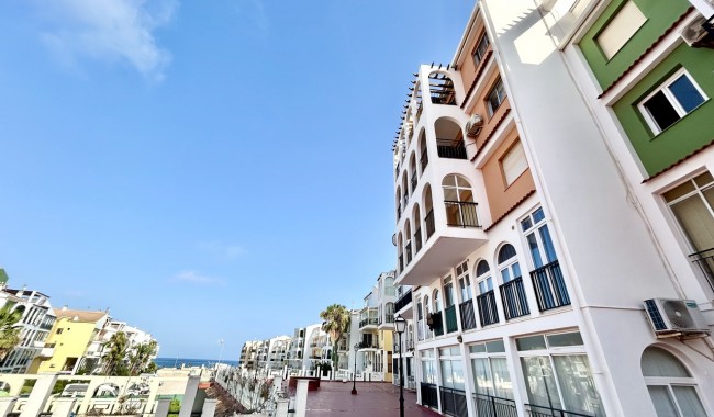 Lägenhet - Begagnad - Torrevieja - Torrevieja