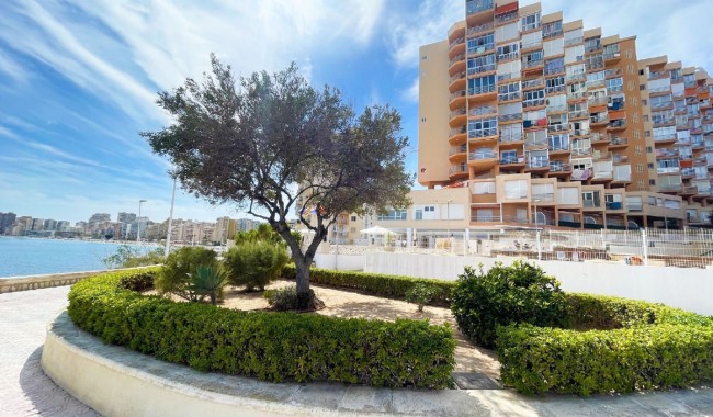 Leilighet - Brukt - Calpe - Calpe Centro
