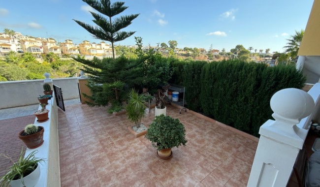 Leilighet - Brukt - Orihuela - CJ-6832