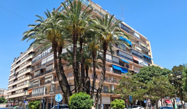 Leilighet - Brukt - Orihuela - Zona Centro