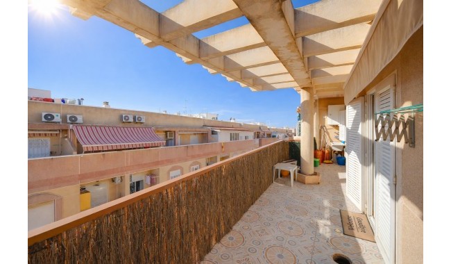 Leilighet - Brukt - Torrevieja - Parque de Las Naciones