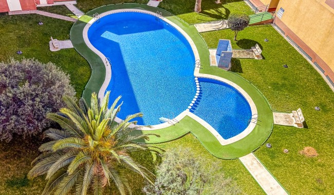 Leilighet - Brukt - Torrevieja - Parque de las Naciones