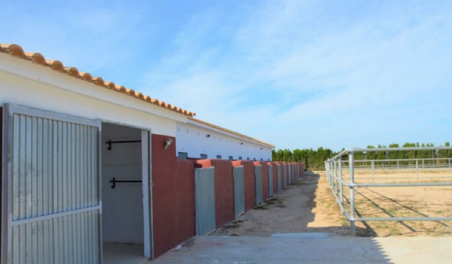 Næringslokaler - Brukt - San Miguel de Salinas - San Miguel de Salinas Centro