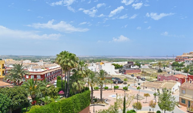 Næringslokaler - Brukt - San Miguel de Salinas - San Miguel de Salinas