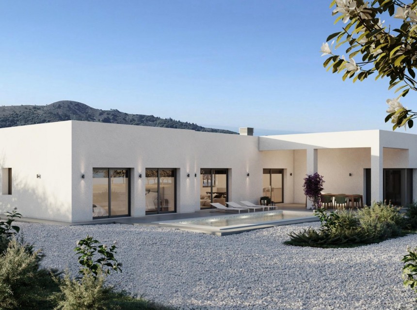 New Build - Villa - Pinoso - Campo