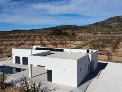 New Build - Villa - Pinoso - Campo