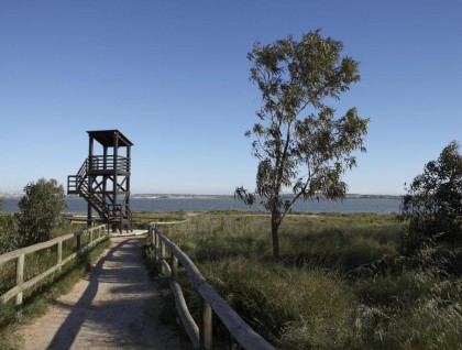 Nueva construcción  - Adosado - Torrevieja - Altos del Sol