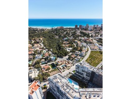 Nueva construcción  - Villa - Orihuela Costa - Dehesa de Campoamor