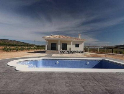 Nueva construcción  - Villa - Pinoso - Camino Del Prado