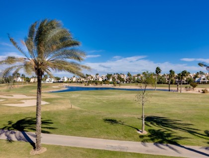 Nybyggnation - Villa - Pilar de La Horadada - Roda Golf