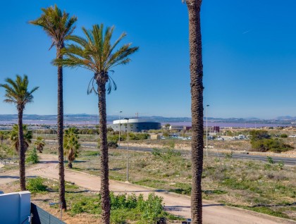 Nybyggnation - Villa - Torrevieja - Sector 25