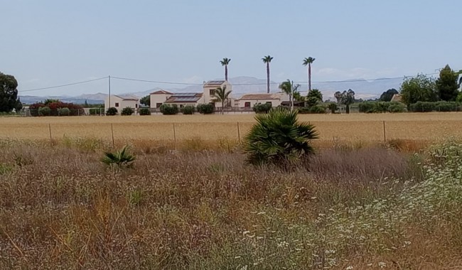 Parcela - Segunda mano - San Fulgencio - San Fulgencio