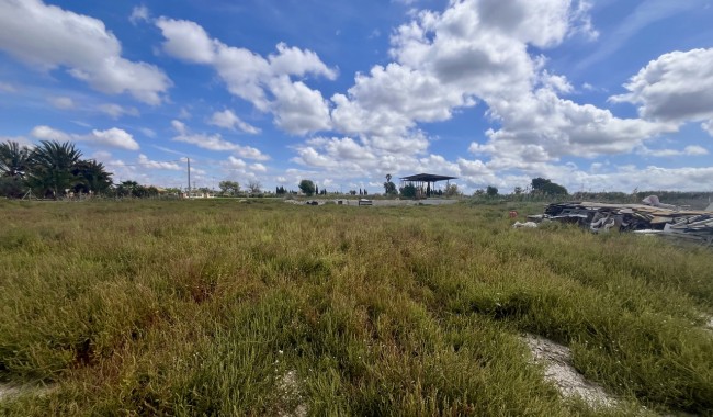 Plot - Resale - Catral - Catral