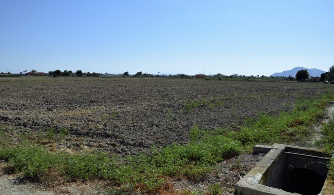 Plot - Resale - Catral - NS-5259